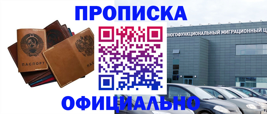 прописка в квартире в Московской области